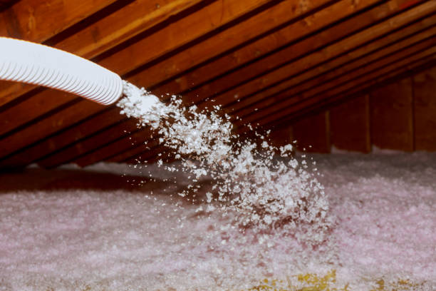 Best Home Insulation Services  in Bowmansville, PA