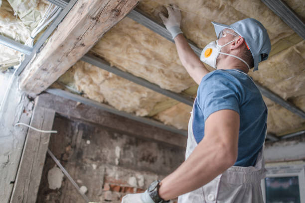 Best Insulation Contractors for Homes  in Bowmansville, PA