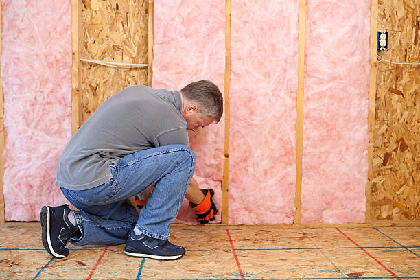 Best Best Insulation Companies  in Bowmansville, PA